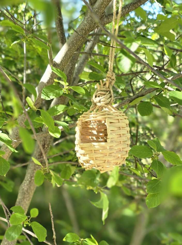 A small woven straw nest hanging from a branch