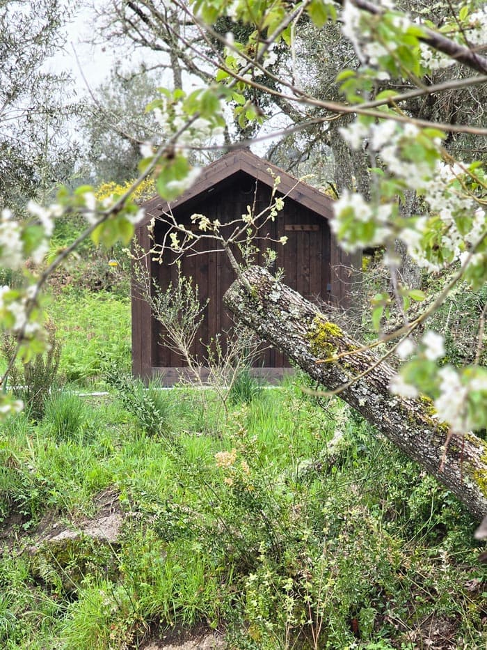 The wooden sauna cabin among blossom and long spring grass
