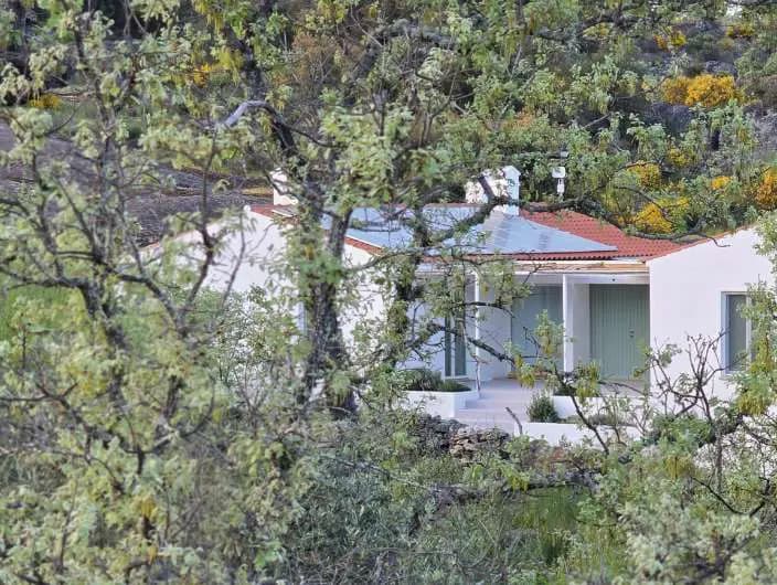 Casa Esteva among the trees, its green shutters open to the hillside