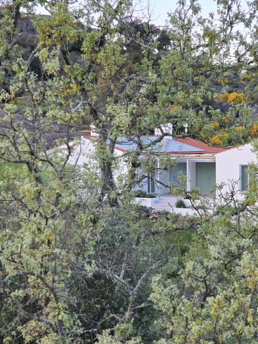 Casa Esteva seen through cork oaks, its white walls half hidden by the trees