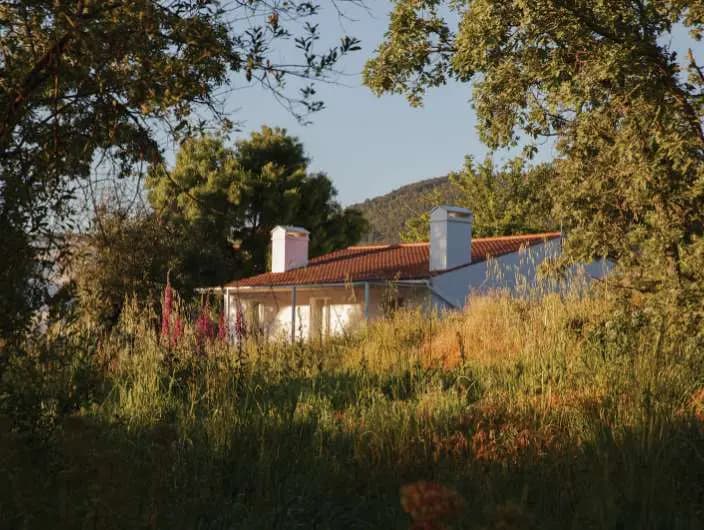 Casa Oliveira in evening light, behind tall grasses