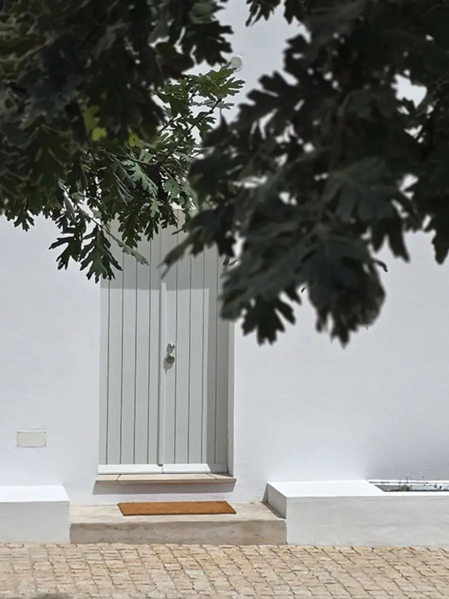 The pale front door of Casa Rosmaninho, shaded by a fig tree