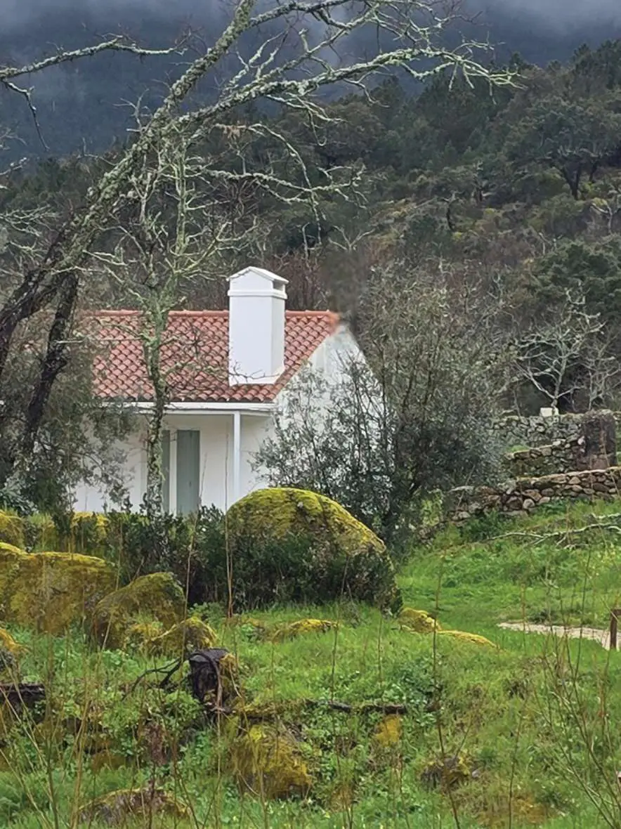 Casa Oliveira below the hillside on a grey day, mossy boulders in the foreground