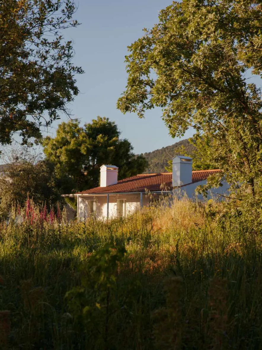 Discover A Sociedade Rural, an adults-only retreat in the Serra de São...