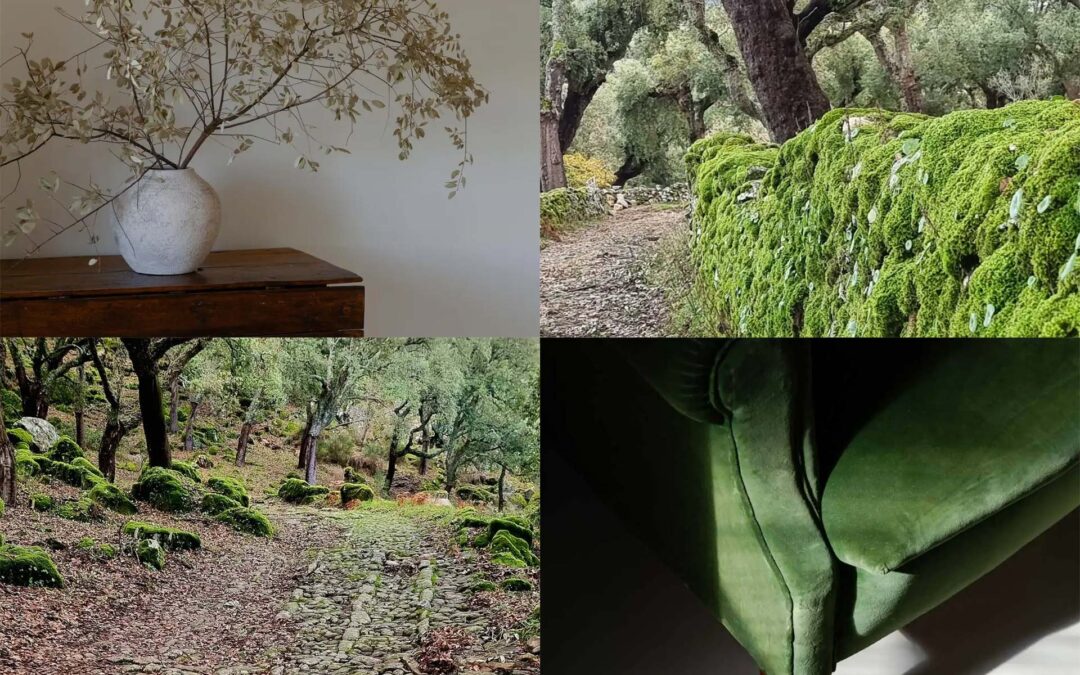 Wabi-Sabi in the Alentejo