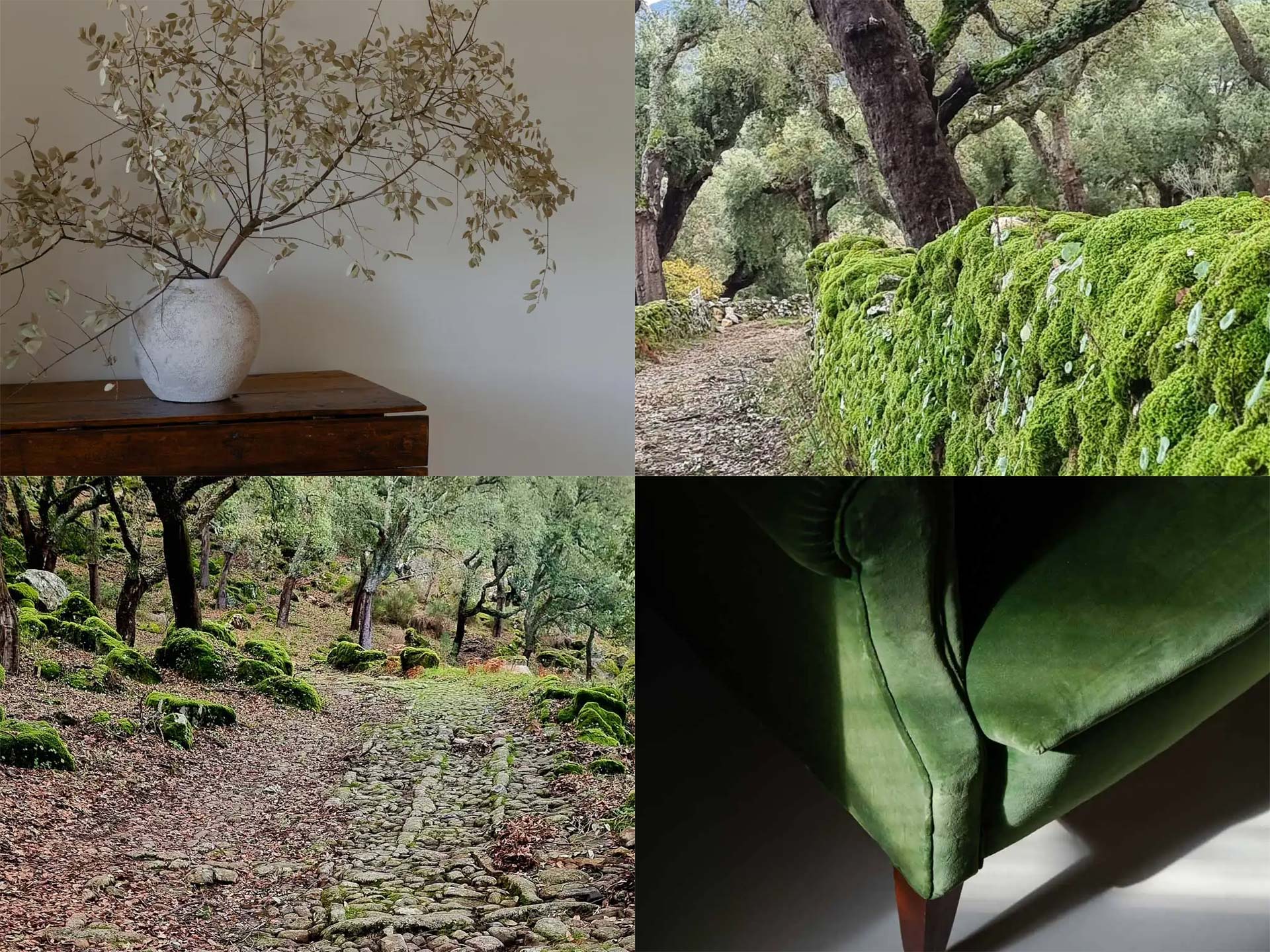 Wabi-Sabi in A Sociedade Rural