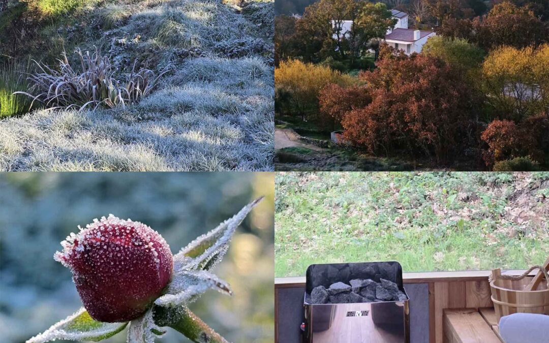 Winter & Sauna in Nature